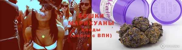 дживик Козловка