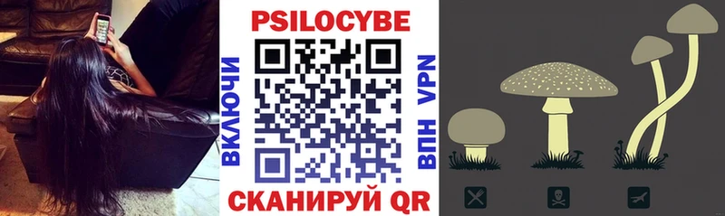 сколько стоит  MEGA tor  даркнет состав  Онега  Псилоцибиновые грибы Psilocybe 