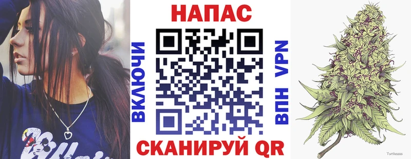 kraken зеркало  Онега  Бошки марихуана VHQ 